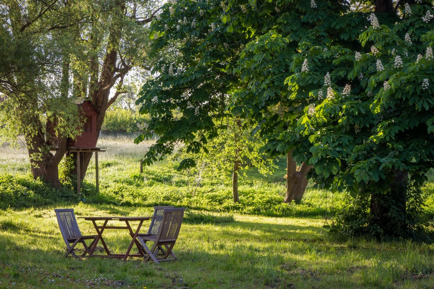 Seasonal Maintenance Tips For Commercial Lawns