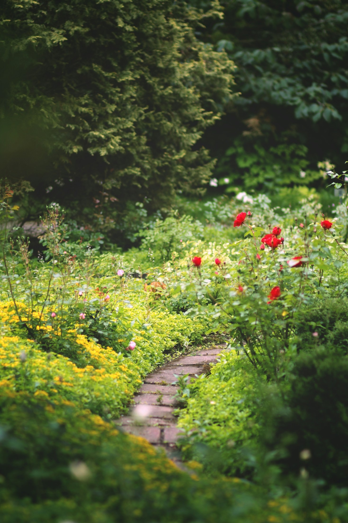 Maximizing Small Garden Spaces With Creative Layouts
